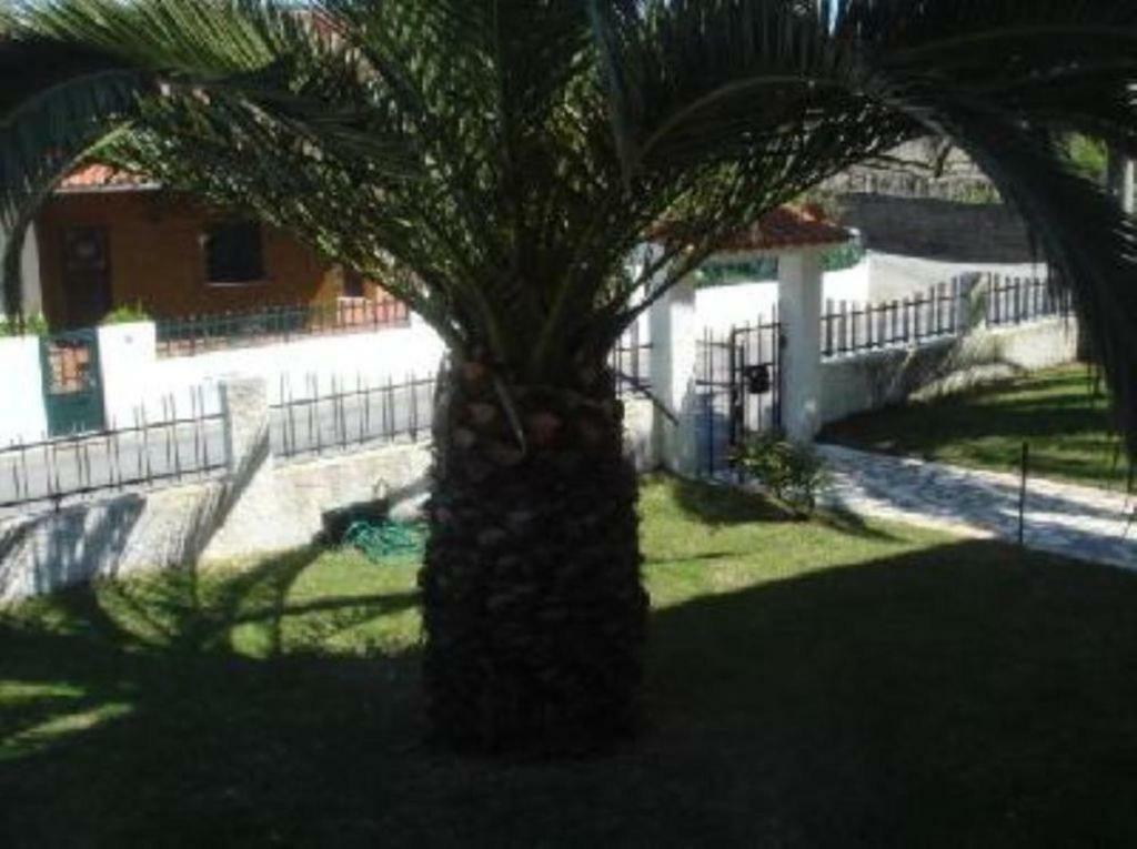 Vivenda Atlantico Hotel Vila Praia de Âncora Eksteriør billede